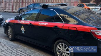 СК Москвы после поручения Бастрыкина начал проверку инцидента с агрессивными пассажирами метро