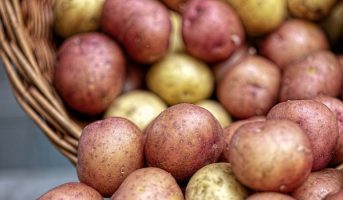 Назван сорт картофеля, способный защитить от рака