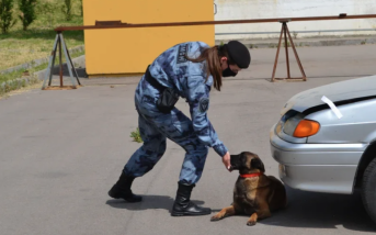 В жилом доме в Малом Васильевском переулке москвичи нашли мину