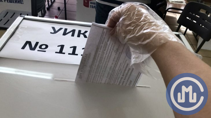 голосование поправки