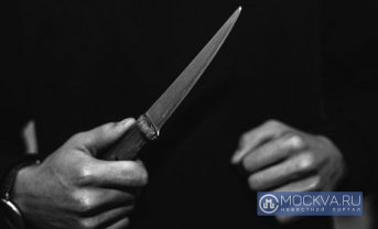 В Москве мигрант порезал полицейских ножом при задержании
