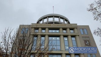 Суд заключил под стражу обвиняемого в убийстве пенсионера в Новой Москве