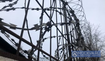Троицу в Подмосковье отправят в колонию за производство 50 кг наркотиков в подпольной лаборатории