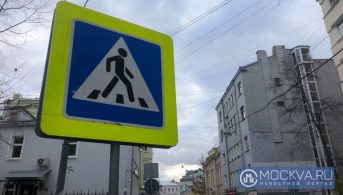 Пожилая москвичка помогла перейти дорогу растерявшемуся роботу-курьеру