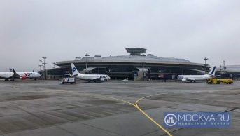 В аэропортах готовящейся к шквалистому ветру Москвы отменено и задержано 20 рейсов