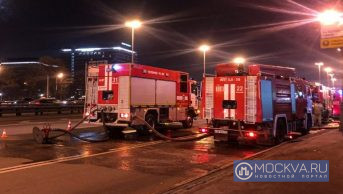 Спасатели вытащили из горящей квартиры на юге Москвы 9 человек