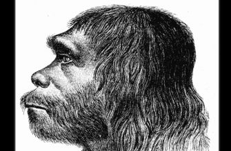неандерталец первобытный древний