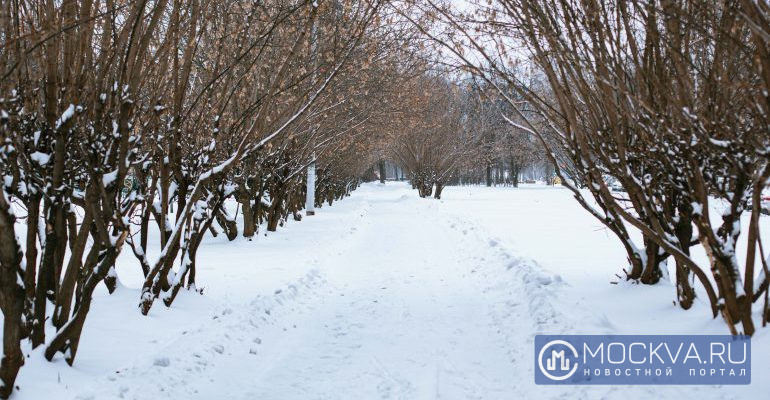 Зима После Нового Года Зима После Нового Года