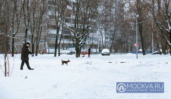 Какой будет погода в Москве и области 18 февраля