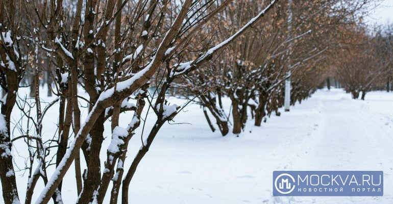 Парки Москвы Новогодние Праздники Парки Москвы Новогодние Праздники