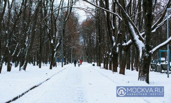 Вильфанд пообещал москвичам аномальное для января тепло в начале недели