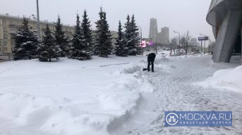 Какая погода ждет москвичей 29 декабря