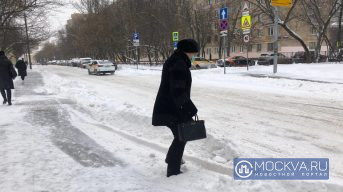 Синоптики назвали 15 февраля самым теплым днем с начала зимы в Москве