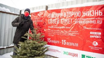 Москвичи выбрали адреса для новых пунктов приема новогодних елок в переработку