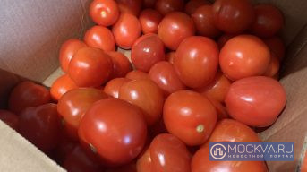 Диетолог рассказала о пользе помидоров для молодости кожи