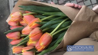 Москвичам перечислили станции метро, на которых можно купить букеты к 8 марта