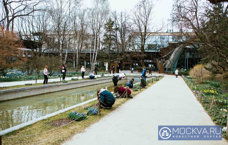 ботанический сад весна аптека