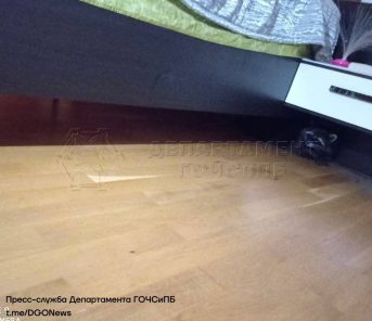 Спасатели выловили резвого енота, проникшего в жилой дом в Хорошево-Мневниках