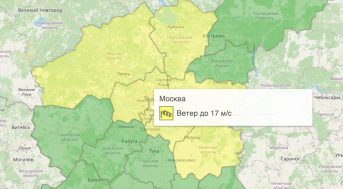 Москву и Подмосковье 24 октября накроет одеяло жёлтой погодной опасности из-за ураганного ветра