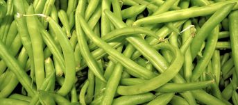 Назван идеальный продукт для похудения