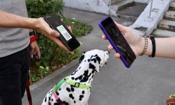 Житель ВАО создал единый ресурс, объединивший всех хозяев собак в столице