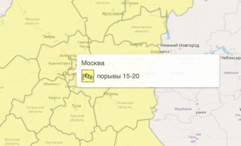 Желтый уровень погодной опасности объявлен в столичном регионе из-за сильного ветра