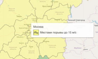 Желтый уровень погодной опасности объявлен в Москве и области из-за ветра