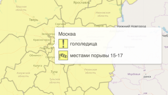 Московский регион оказался под желтым одеялом погодной опасности из-за ветра и гололедицы