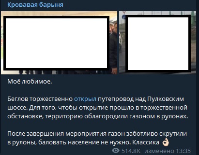 Политолог объяснил, почему Собчак стала чаще метать стрелы в адрес руководства Петербурга